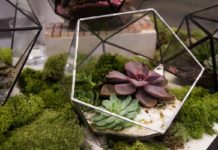 Letošní Czech Design Week si pohrál s uměním a materiály všeho druhu