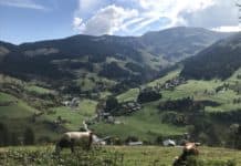 Salzburg Hochkőnig: Místo, které se stane srdcovou záležitostí