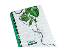 Dita Táborská navazuje na prvotinu Malinka, její Běsa potvrzují výjimečný autorský talent