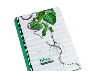 Dita Táborská navazuje na prvotinu Malinka, její Běsa potvrzují výjimečný autorský talent