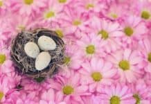 Průvodce nejen českými velikonočními tradicemi a zvyky