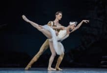 Labutí jezero v Národním divadle zaujme jen vedlejšími rolemi