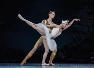 Labutí jezero v Národním divadle zaujme jen vedlejšími rolemi