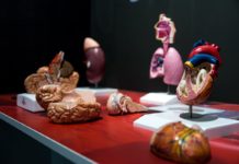 Na Rašínově nábřeží zakotvil iQport, oáza vědomostí a zábavy