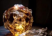 Stanislav Libenský Award 2019: Téma ochrany životního prostředí proniká i do prací sklářských výtvarníků Stanislav Libenský Award