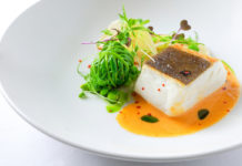 Do Kampa Parku připlula treska