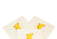 TIPY NA VÁNOČNÍ DÁRKY na poslední chvíli: CD, knihy s autogramem i originální trička z pražských divadel