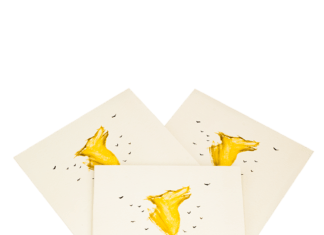 TIPY NA VÁNOČNÍ DÁRKY na poslední chvíli: CD, knihy s autogramem i originální trička z pražských divadel