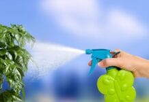 Zahrádkářská sezóna začíná. V únoru nakupujte semena, vysejte bylinky za okno a prořežte dřeviny