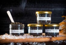 Kaviár: rybí delikatesa i nejdražší potravina světa