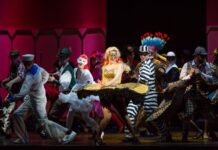 Lesk a bída muzikálů Muzikál Čas růží