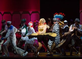 Lesk a bída muzikálů Muzikál Čas růží