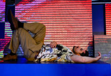 Werich: já, mé druhé já a Voskovec Werich Museum Kampa