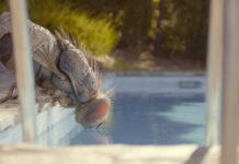 Film Moucha v kufru (2021): Příjemný návrat francouzské komedie Moucha v kufru