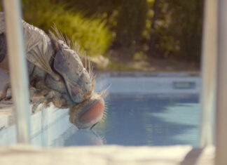 Film Moucha v kufru (2021): Příjemný návrat francouzské komedie Moucha v kufru