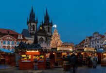 Kapr s bramborovým salátem je česká vánoční klasika. Cizinci se však nad naší kapří vánoční tradicí pozastavují Tradiční vánoce