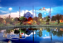 Postcrossing aneb S pohledy kolem celého světa