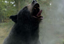 Film: Medvěd na koksu (2023). Drogy dělají divy nejen s lidmi