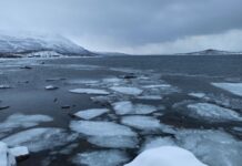 Švédsko – kultura, historie i nespoutaná divočina