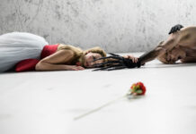 Kráska a zvíře: Hororová pohádka, která zaskočí i dospělého