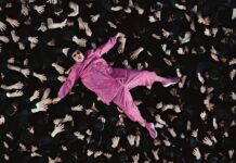 #VideoDne: OLIVER TREE