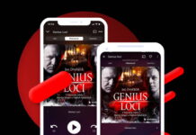 Audiokniha GENIUS LOCI: kriminalita maloměsta duchů na konci pandemie