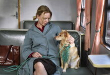 Film KARAOKE BLUES (2023): najde její číslo?