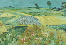 Přes 600 výstav vídeňského Belvederu je online