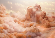 BARVA ROKU 2024: Peach Fuzz!