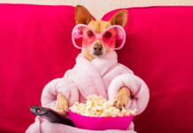 Sedm seriálů na květen 2024