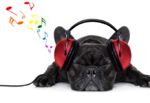 Novinky na hudební scéně #18