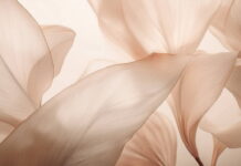 Pantone představuje barvu roku 2025: PANTONE 17-1230 Mocha Mousse