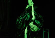 “Divák musí trpět co nejvíce.” Představení Lekce Hitchcock s vynikajícím Norbertem Lichým je online