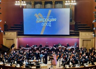 Plné Rudolfinum aplaudovalo Švehlíkovi s Dobrým a Čarodějovu učni