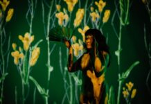 DIVADELNÍ & TANEČNÍ FESTIVAL: BAZAAR Foto: PatMic