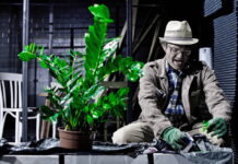 Zahrádkář: jsou situace, kdy o tebe tak úplně nejde