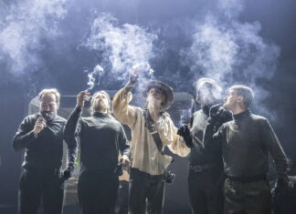 Tři mušketýři a já: doma, ve snu, doma ve snu