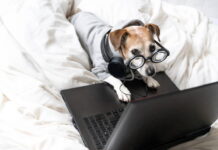 Seriály na srpen 2025