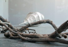 VÝSTAVA: SÁRA SKOCZKOVÁ – ZAHRADA VIDĚNÍ