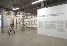 Lucia Tallová v olomoucké Telegraph Gallery: Přála bych si být stvořena z kamene.