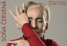 E-VÝSTAVA: SOŇA ČERVENÁ