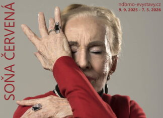E-VÝSTAVA: SOŇA ČERVENÁ