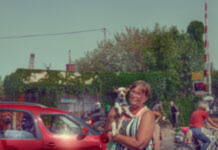 Fotografka Eva Bystrianská zachytila obyvatele Broumova a jejich psí miláčky. Výstava Sčítání psů je k vidění přímo v ulicích města.