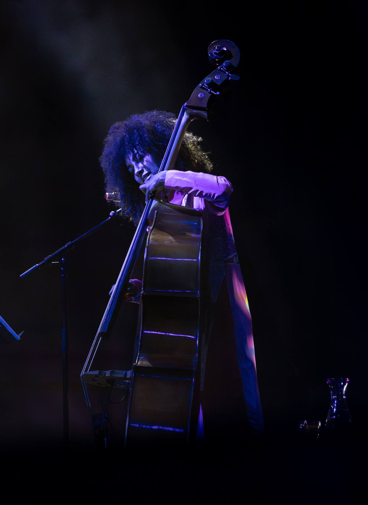 Esperanza Spalding