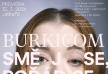 DIVADLO: SMĚJ SE, POŘÁD SE SMĚJ! Divadlo: Směj se, pořád se směj!