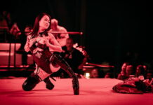 (18+) EROFEST 2026: co všechno se dá někam strčit a jak si to užít Erofest