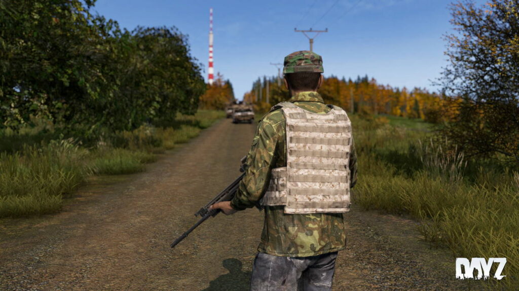 DayZ