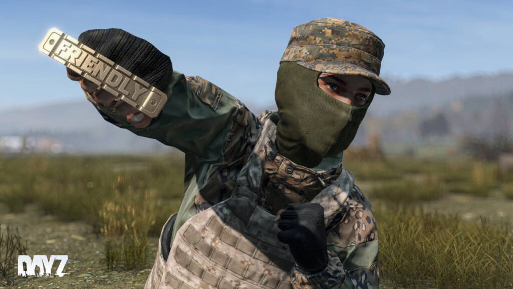 DayZ