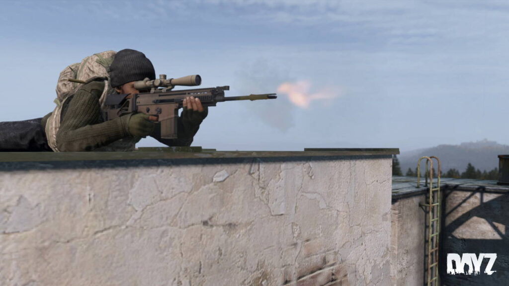 DayZ