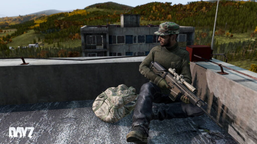 DayZ